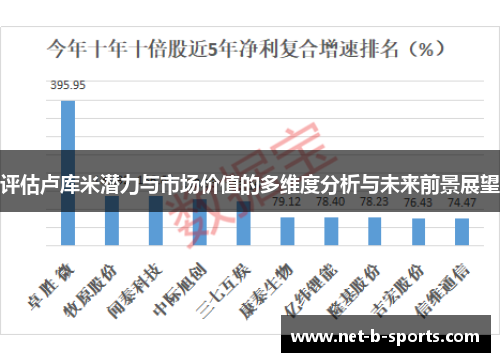 评估卢库米潜力与市场价值的多维度分析与未来前景展望