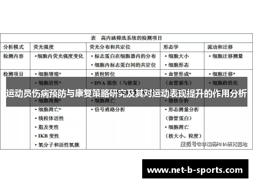 运动员伤病预防与康复策略研究及其对运动表现提升的作用分析