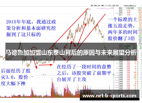 马德鲁加加盟山东泰山背后的原因与未来展望分析